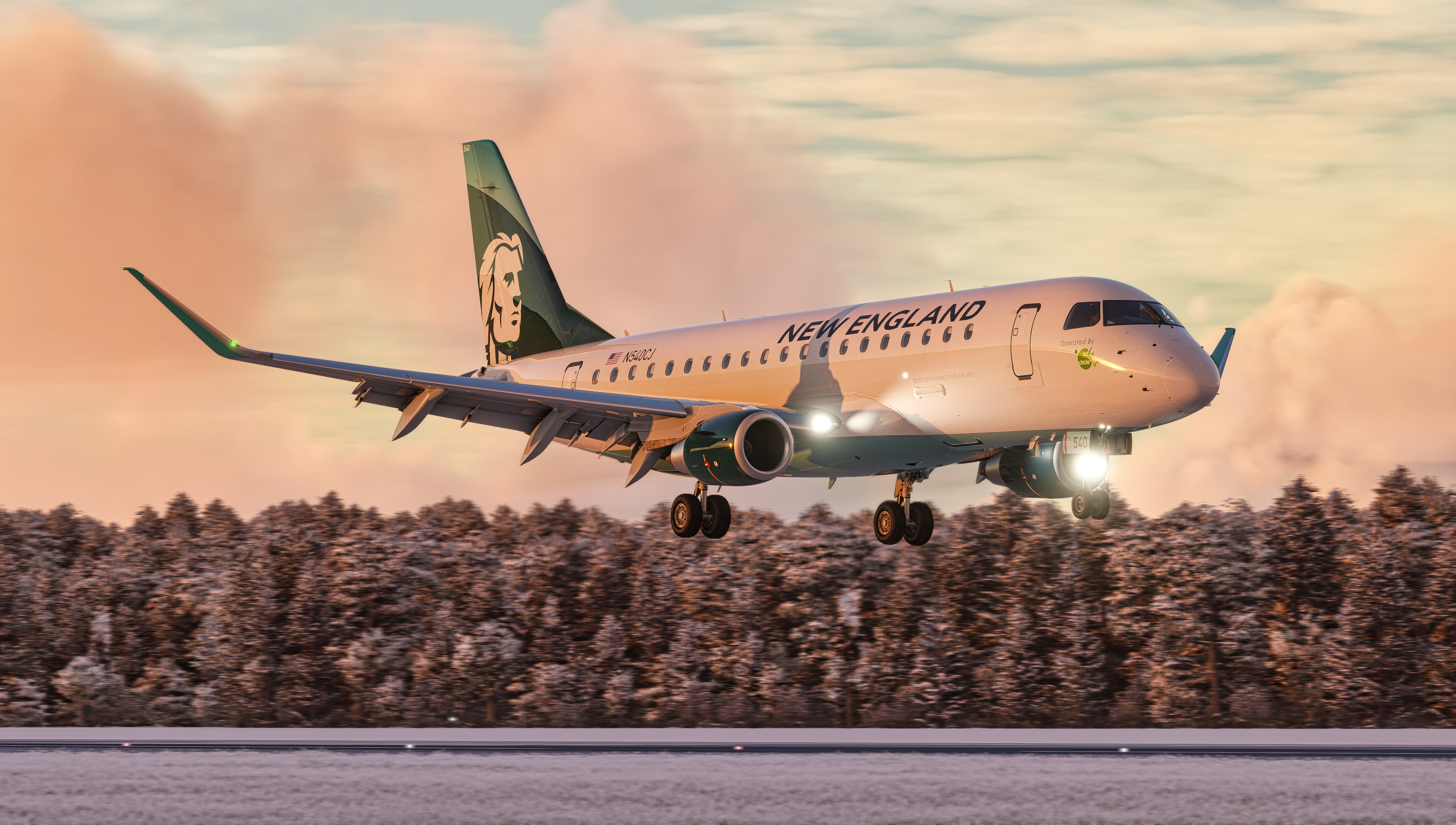 NEA Airlink
